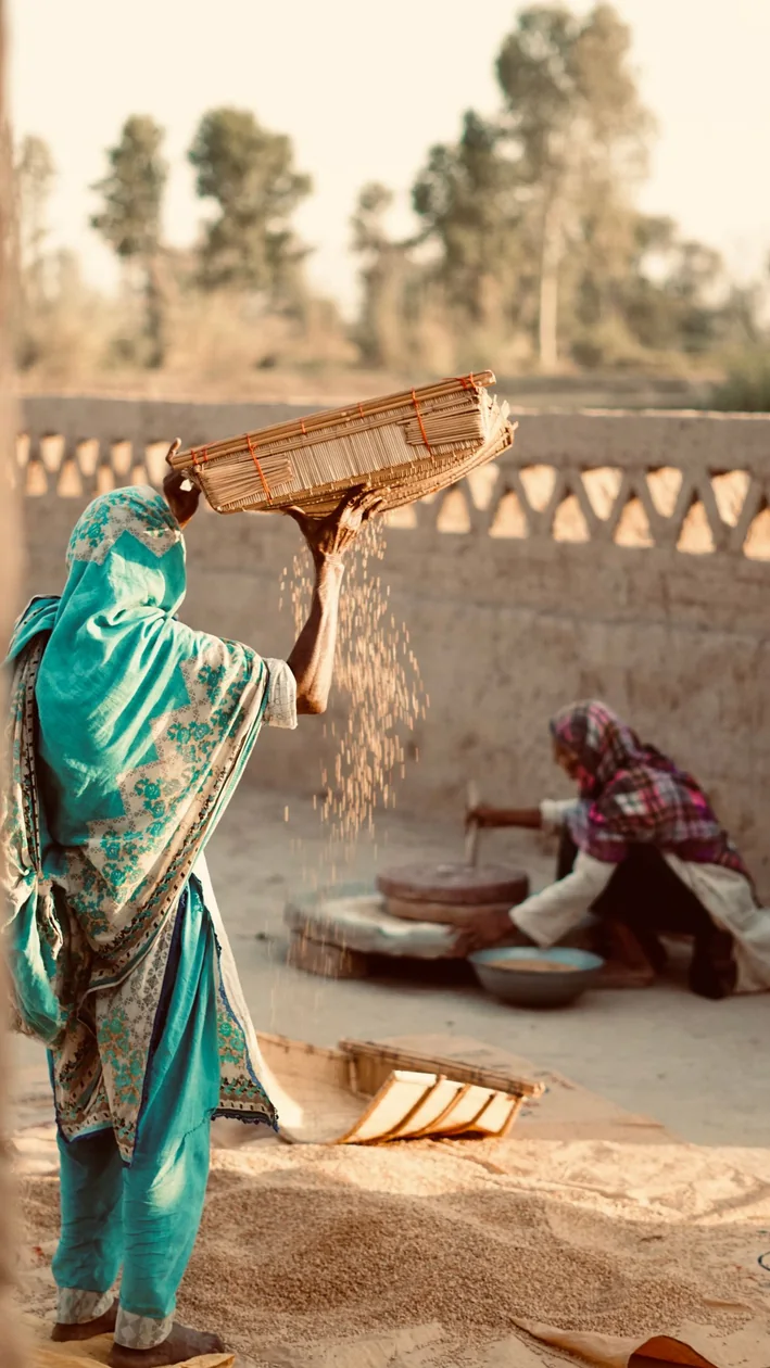 A woman in a turquoise shalwar kameez winnowing grain in a courtyard in Sargodha, Punjab.